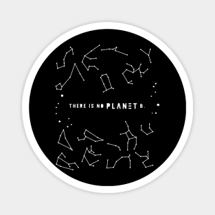 There is No Planet B Magnet